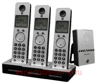 Motorola D713