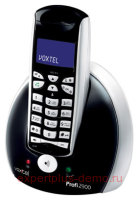 Voxtel Profi 2900