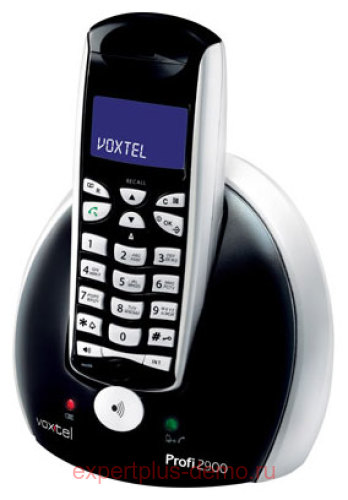 Voxtel Profi 2900